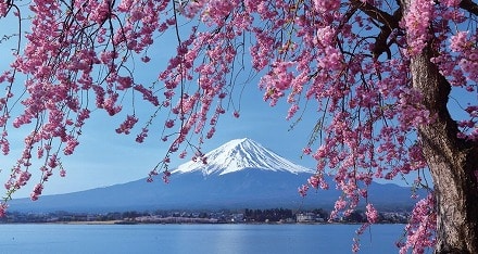 富士河口湖の画像